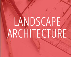 Design Aptitude