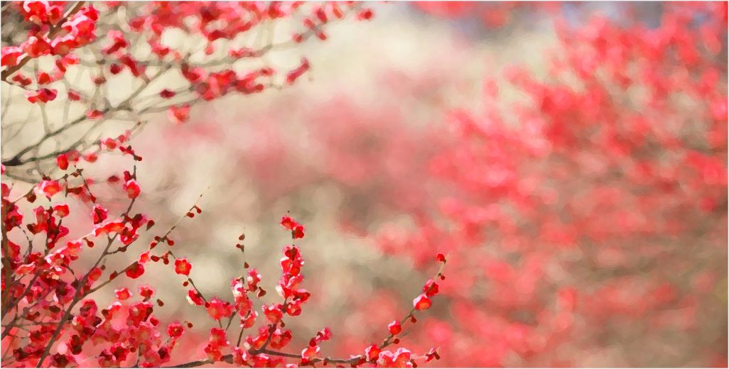 tree background
